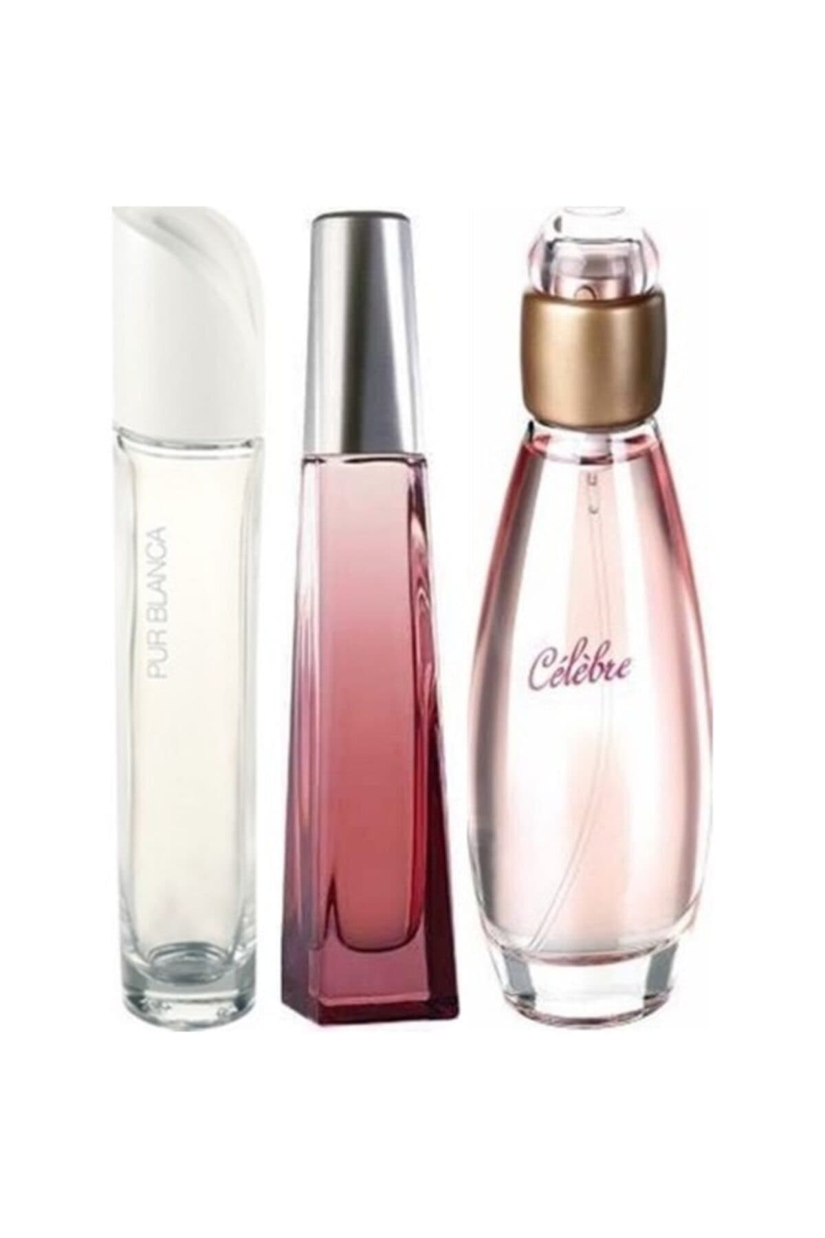 Avon Celebre Edt 50 ml Kadın + Surrender Edt 50 ml Kadın + Purblanca Edt 50 ml Kadın Parfüm 4567213987542