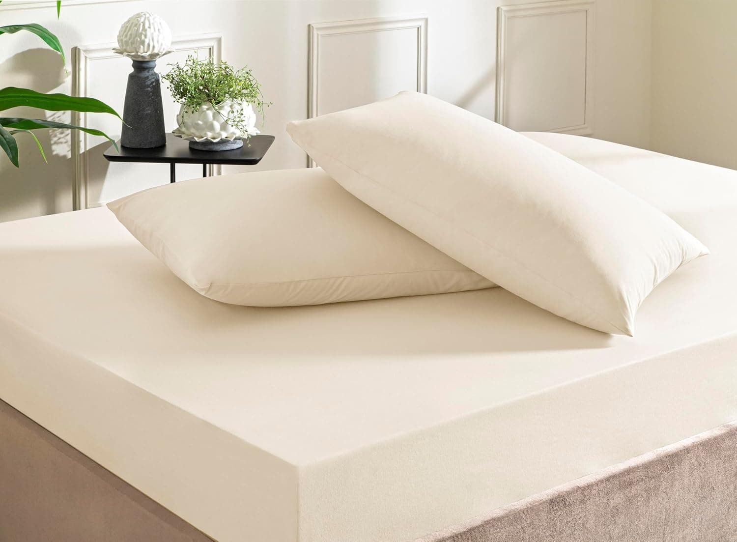 Taç Color Dreams Ranforce Çift Kişilik Fitted Çarşaf Seti Ekru
