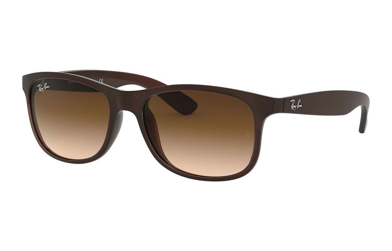 Ray-Ban Rb4202 607313 Erkek Güneş Gözlüğü