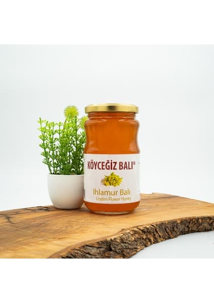 Köyceğiz Balı Ihlamur Balı 450 G Cam Kavanoz
