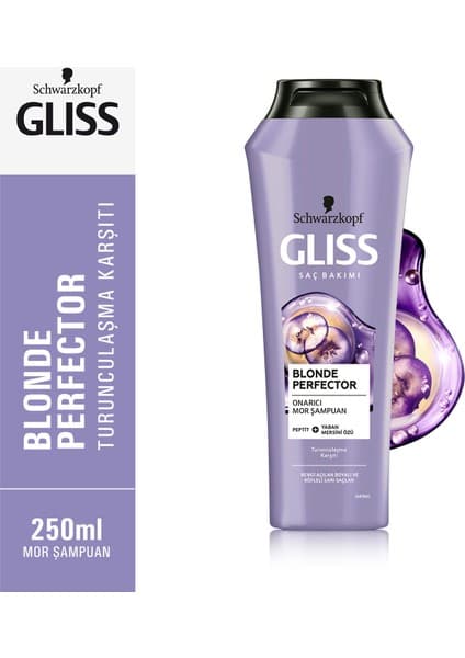 Gliss Blonde Perfector Turunculaşma Karşıtı Onarıcı Mor Şampuan 250 ml Röfleli Boyalı Doğal Sarı Saçlar