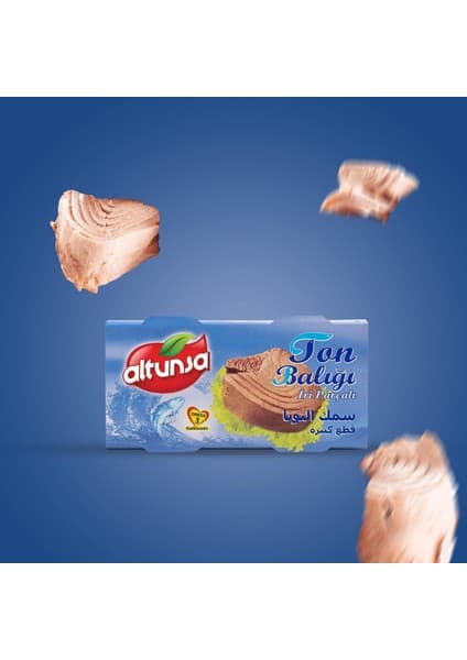 Altunsa Ton Balığı 2×160 Gr