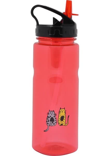 Biggdesign Cats Tritan Matara 650 ml