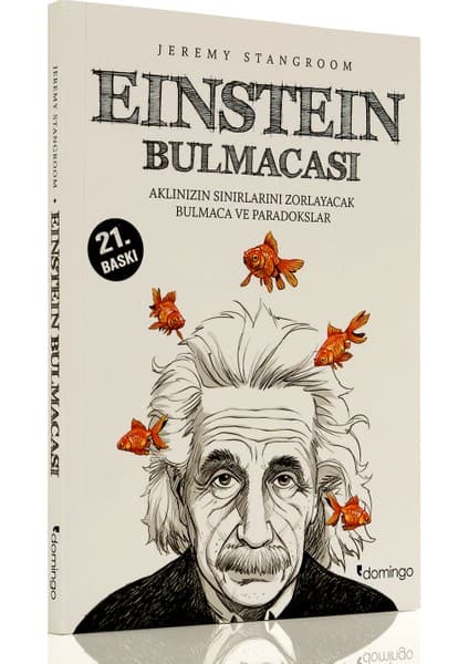 Domingo Yayınevi Einstein Bulmacası - Jeremy Strangtom