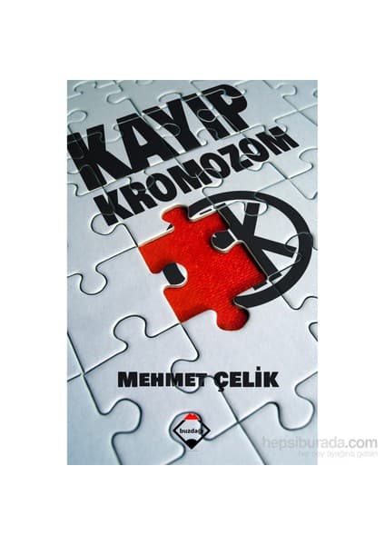 Buzdağı Yayınevi Kayıp Kromozom