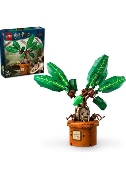 LEGO ® Harry Potter™ Adamotu 76433 - 10 Yaş ve Üzeri Çocuklar için Yaratıcı Oyuncak Yapım Seti (579 Parça)