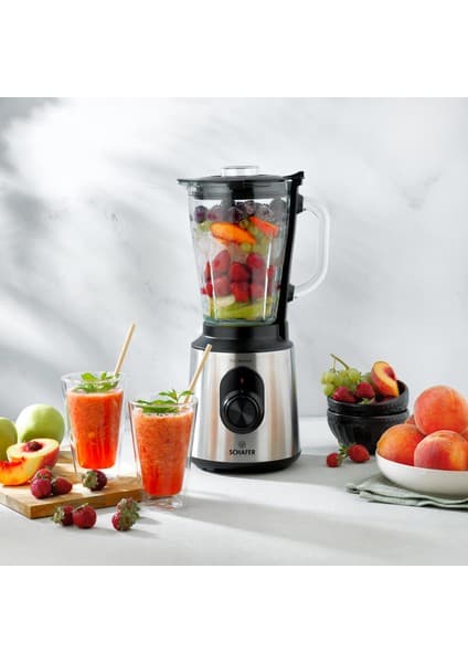 Schafer Vita Master Sürahi Blender-Inox