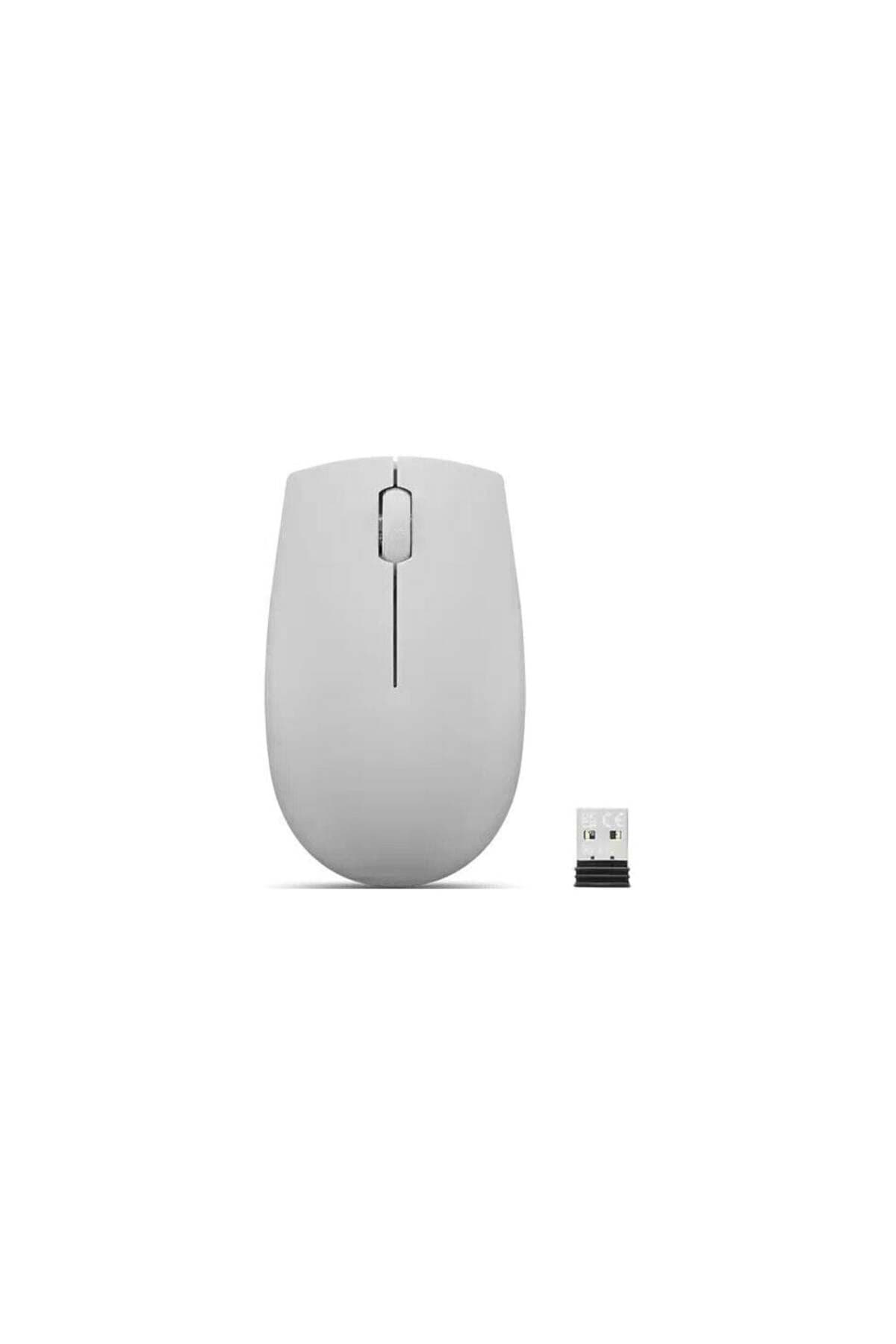 LENOVO 300 Kompakt Kablosuz Mouse Kutup Grisi