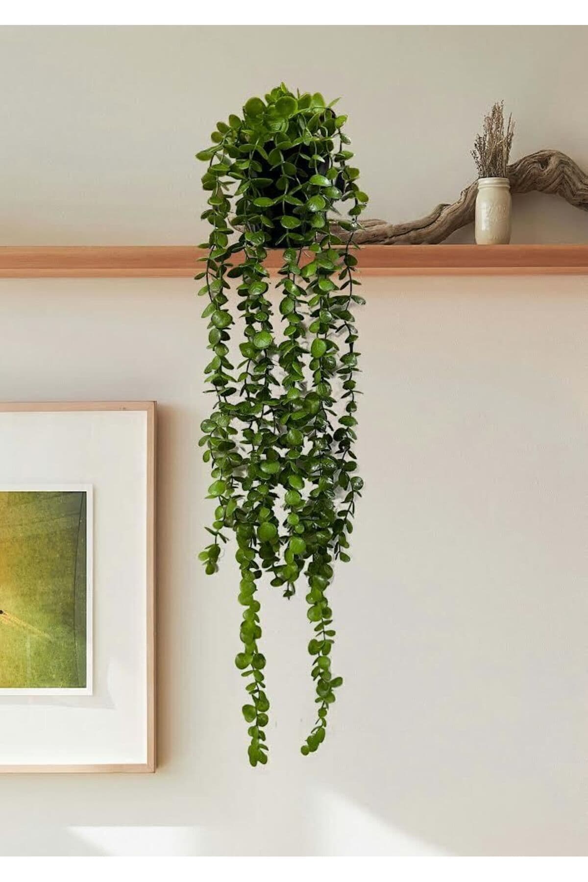 Lilac Home Yapay Çiçek Elmas Saksıda 80 Cm Yoğun Yapraklı Koyu Yeşil Okaliptus Sarkıt