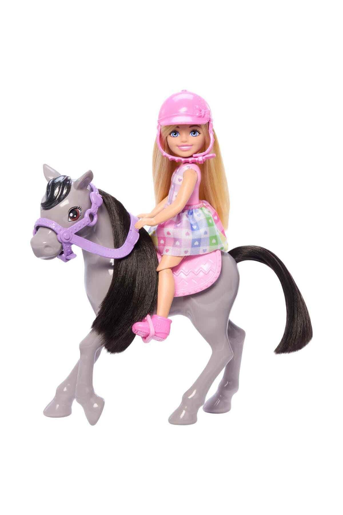 Barbie Chelsea Bebek ve Midilli Figür Seti HTK29
