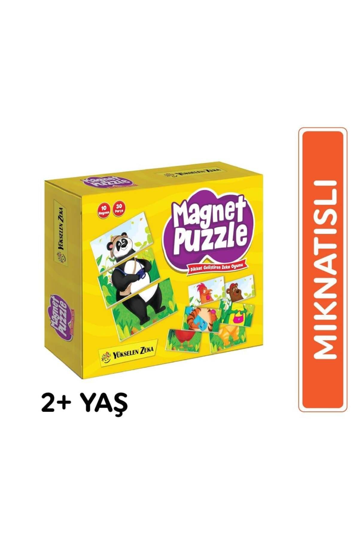 yükselen zeka Magnet Puzzle Dikkat Geliştiren Zeka Oyunu