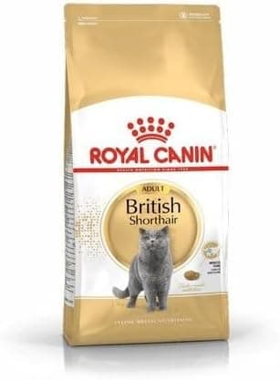 Royal Canin British ShortHair Kuru Kedi Maması, Yetişkin, 2 Kg