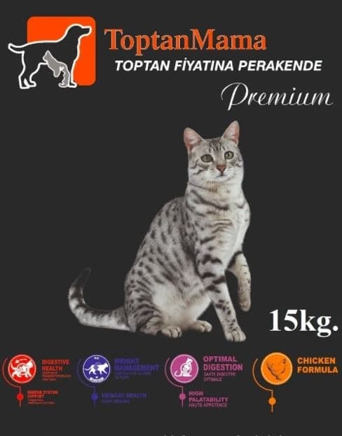 Toptan Mama Kuzu Etli Yetişkin Kedi Maması 15 KG