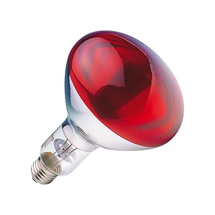 Osram Ledvance 250 W İnfrared Ampul