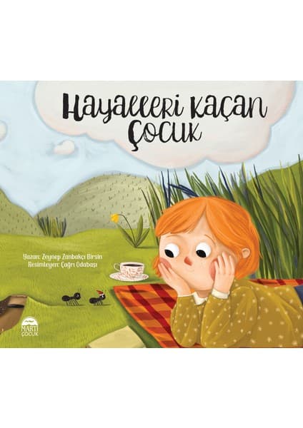 Martı Çocuk Yayınları Hayalleri Kaçan Çocuk - Zeynep Zanbakçı Birsin