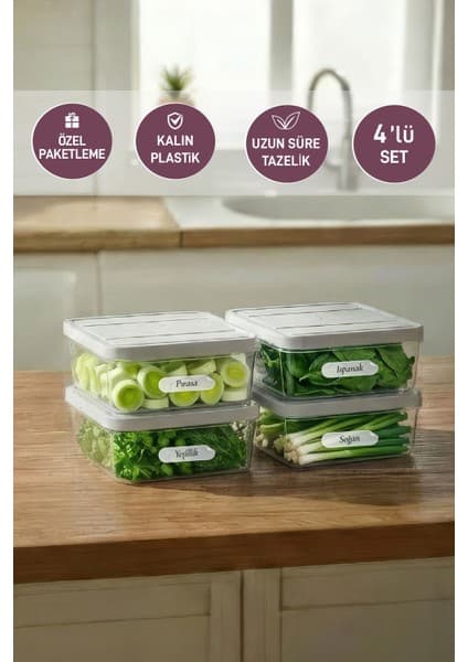 Selka Home 4 Adet 0.5 Lt. Nora Organizer Buzdolabı Buzluk Düzenleyici Saklama Kabı
